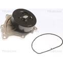 Vattenpump, motorkylning TRISCAN - 8600 13051