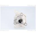 Vattenpump, motorkylning TRISCAN - 8600 14023