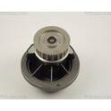 Vattenpump, motorkylning TRISCAN - 8600 24017
