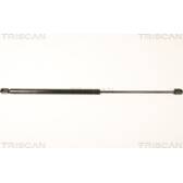 Vérin de capot TRISCAN - 8710 38104
