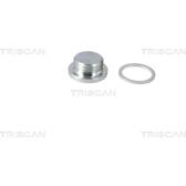 Verschlussschraube, Ölwanne TRISCAN - 9500 2904