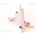 Vibration Damper, timing belt TRISCAN - 8646 29311