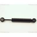 Vibration Damper, V-ribbed belt TRISCAN - 8710 2314
