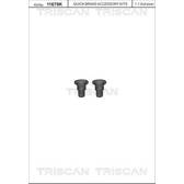Vis (disque de frein x2) TRISCAN - 8105 116020