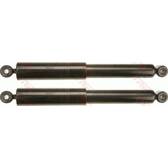 Set van 2 schokdempers TRW - JGE288T