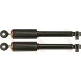 Set van 2 schokdempers TRW - JGT258T
