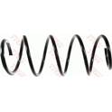 Suspension Spring TRW - JCS459