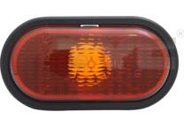 Indicator