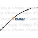 Accelerator Cable VAICO - V10-2460