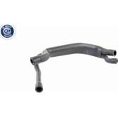 Breather Hose, expansion tank VAICO - V20-1641