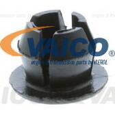 Clip (x25) VAICO - V10-2491