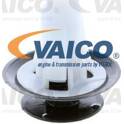 Clip VAICO - V25-0490