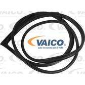 Door Seal VAICO - V30-1568