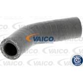 Durite de turbocompresseur VAICO - V24-0631