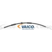Flexible de frein (x2) VAICO - V10-4140