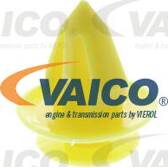 Grapa (x25) VAICO - V10-2054
