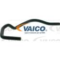 Hose, valve cover breather VAICO - V40-1781