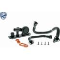 Kit de reparação, respiro do cárter da cambota VAICO - V10-3246