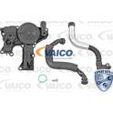 Kit de réparation, ventilation du carter-moteur VAICO - V10-3881