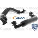 Kit de réparation, ventilation du carter-moteur VAICO - V20-3356