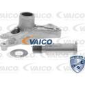 Kit riparazione, Braccio tenditore-Cinghia Poly-V VAICO - V30-2960