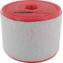 Luftfilter VAICO - V10-2187