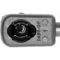 Mola pneumática, mala/compartimento de carga VAICO - V10-0986
