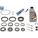 Repair Kit, differential VAICO - V10-000355