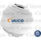 Support moteur VAICO - V30-8191