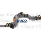Tuyau (ventilation du carter-moteur) VAICO - V42-0856