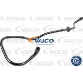 Vacuum Hose, braking system VAICO - V10-3664