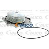 Wasserpumpe, Motorkühlung VAICO - V30-50077