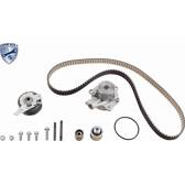 Waterpomp + distributieriem set VAICO - V10-50113-BEK
