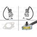 AGR-Ventil VALEO - 700412