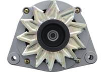 Dynamo / Alternator (Gereviseerd)
