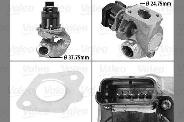 EGR Valve
