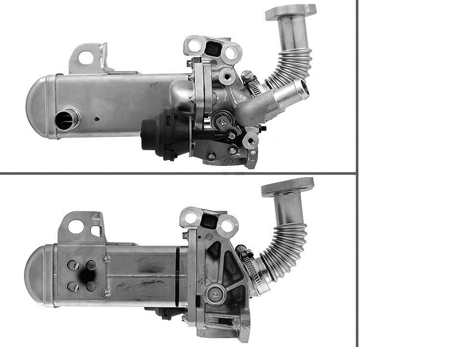 EGR Valve