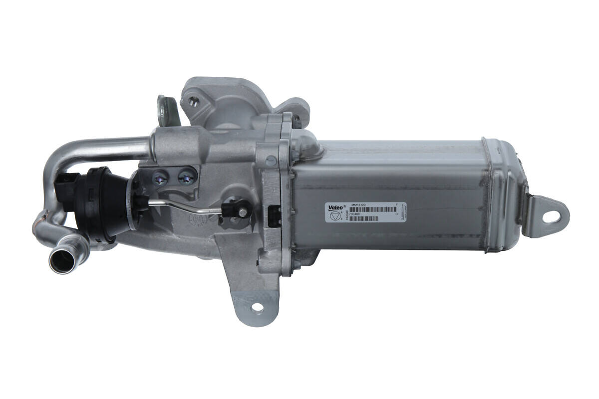EGR Valve