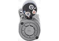 Startmotor (Gereviseerd)