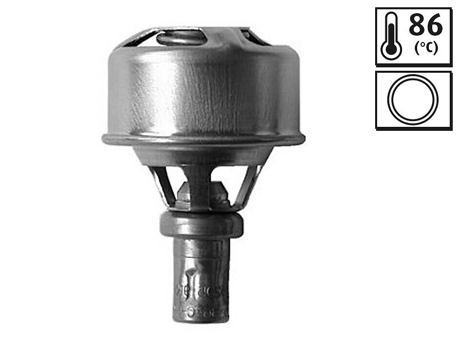 Thermostat, coolant