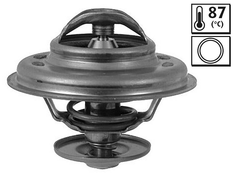 Thermostat, coolant