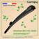 nop
