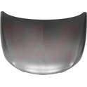 Capot do motor VAN WEZEL - 4924660