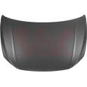Capot do motor VAN WEZEL - 5751660