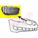 Enjoliveur (grille de radiateur) VAN WEZEL - 0617514