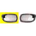 Enjoliveur (grille de radiateur) VAN WEZEL - 0653518