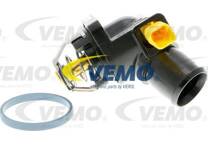 Carter del termostato