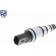 nop