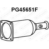 Diesel particulate filter VENEPORTE - PG45651F