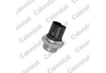 Radiator fan switch